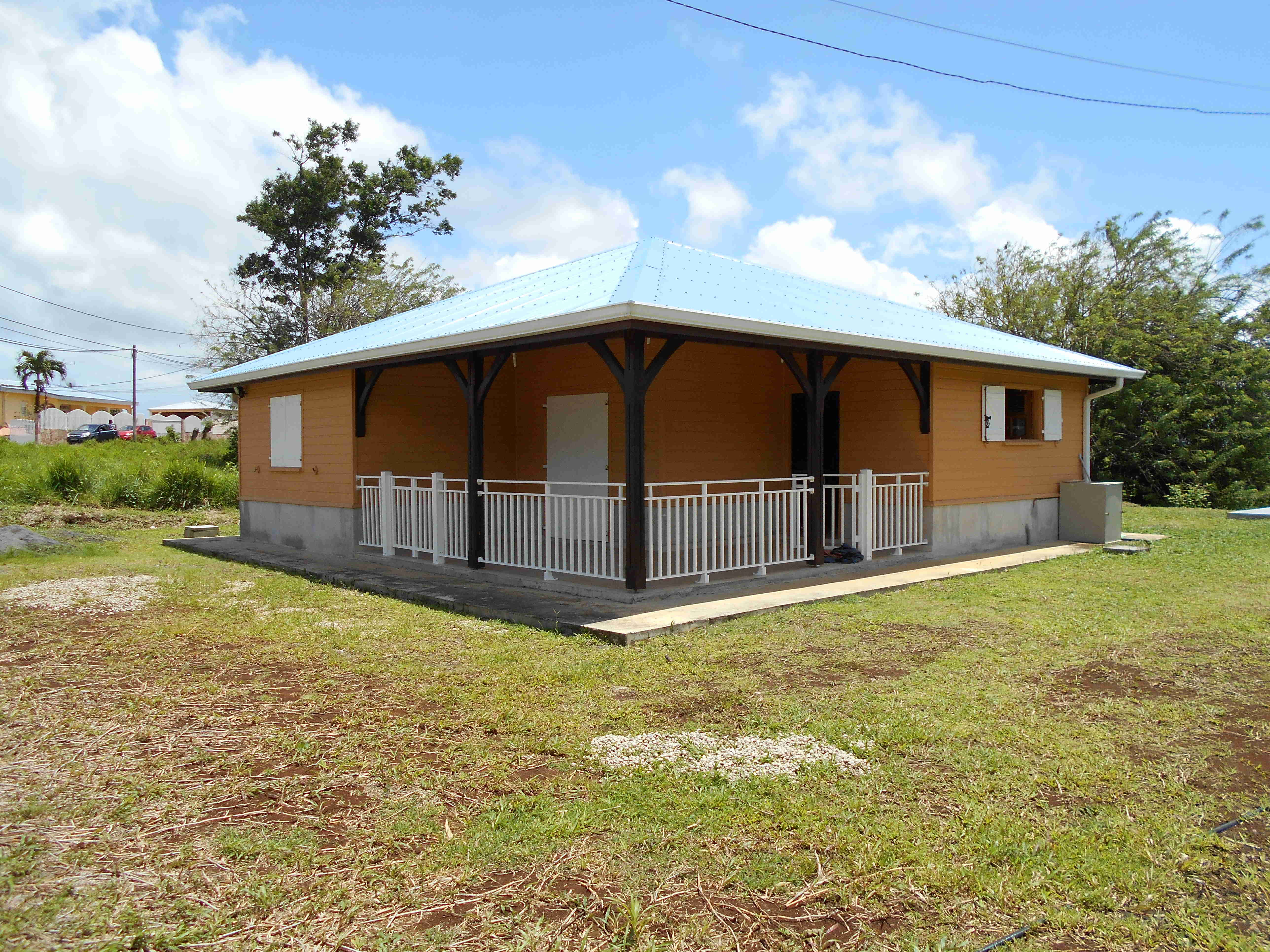 En Bois Martinique Ou Guadeloupe